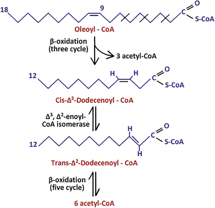 figure 23