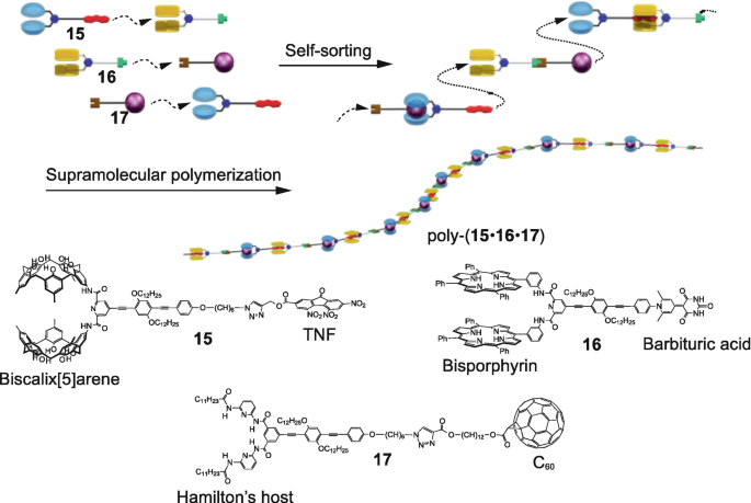 Host–Guest Complexation of Bisporphyrin Cleft and Electron-Deficient  Aromatic Guests