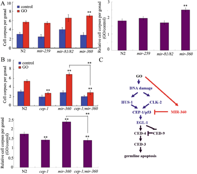 figure 22