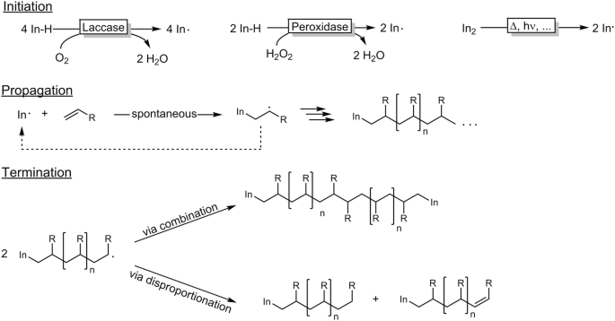 Synthesis of Vinyl Polymers via Enzymatic Oxidative Polymerisation |  SpringerLink