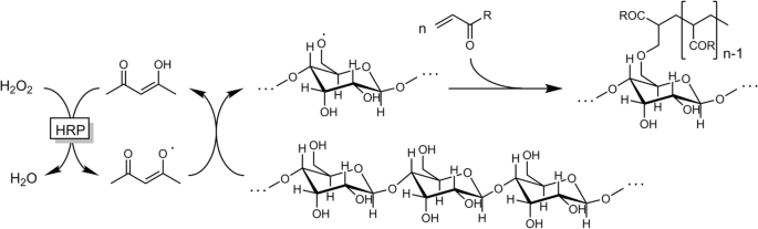 scheme 9