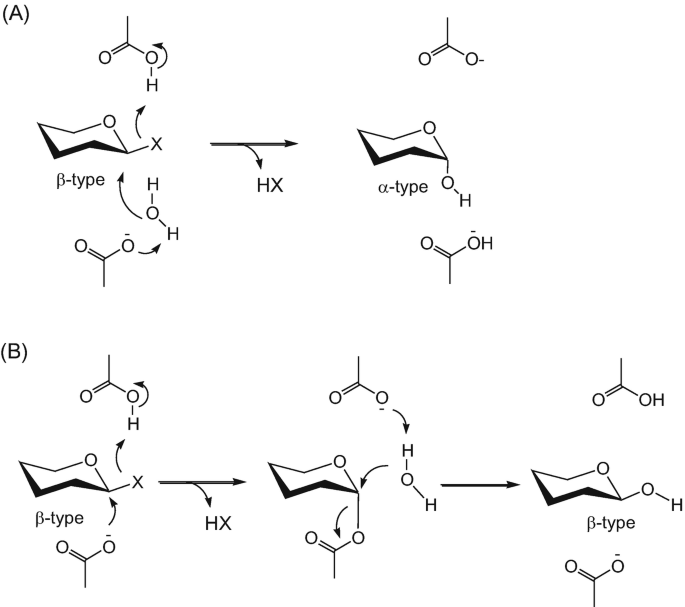 scheme 4