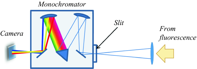 figure 51