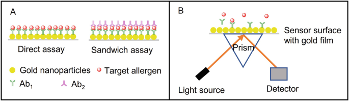 Rapid and accurate electrochemical sensor for food allergen detection in  complex foods