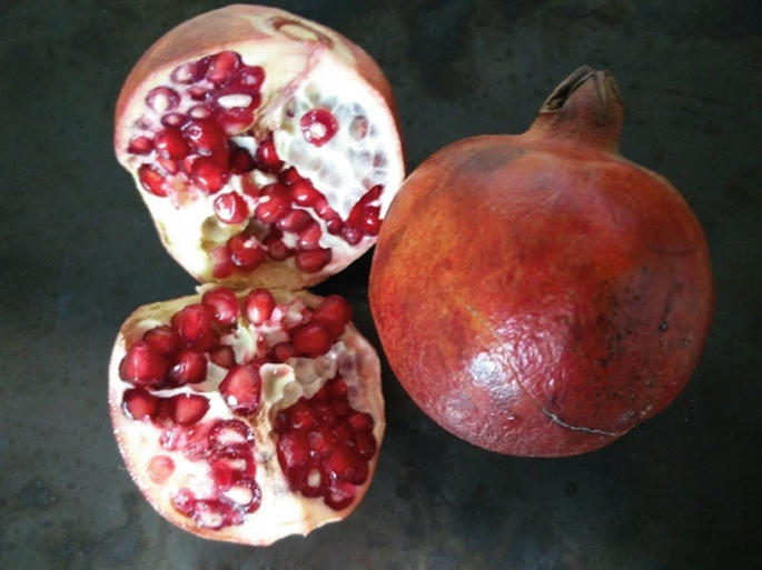Fruits Of Indian Subcontinent And Their Health Benefits Springerlink