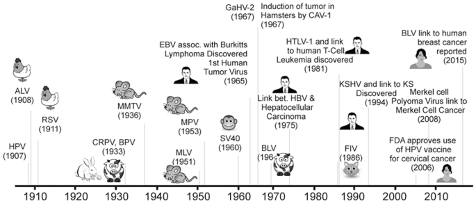 Virus-Mediated Cancers in Animals | SpringerLink Virus-Mediated Cancers in Animals | SpringerLink