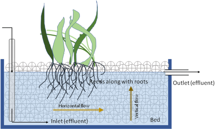A Review on Reed Bed System as a Potential Decentralized Wastewater  Treatment Practice | SpringerLink