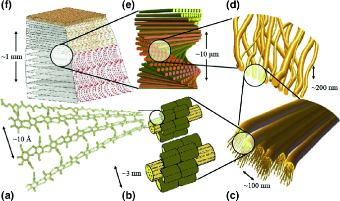 Preparation And Properties Of Nanopolysaccharides Springerlink