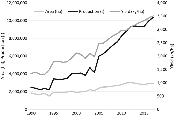 A line graph represents that the area line and production line start near 2000000 and end up close to 3000000 and 10000000, respectively. The yield line starts close to 1500 and ends up near 3500.