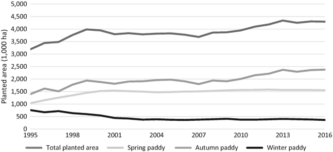 A line graph of planted area in 1000 hectares over the years from 1995 to 2016. In it, lines for total planted area, autumn, spring, and winter paddy are plotted. The total planted area line, which starts at 3000 and ends close to 4500, has the highest values. The autumn, spring, and winter paddy lines are below the total planted area line in the given order.