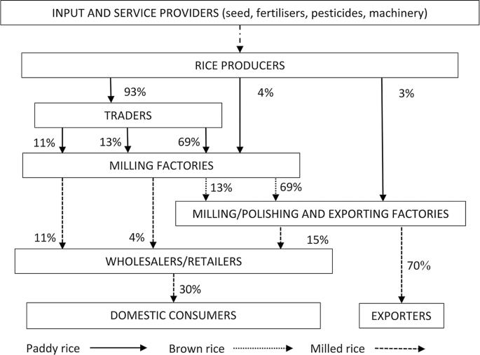 A chart of the rice value chain presents that the main participants are input and service providers, rice producers, traders, milling factories, exporting factories, wholesalers or retailers, and domestic consumers.