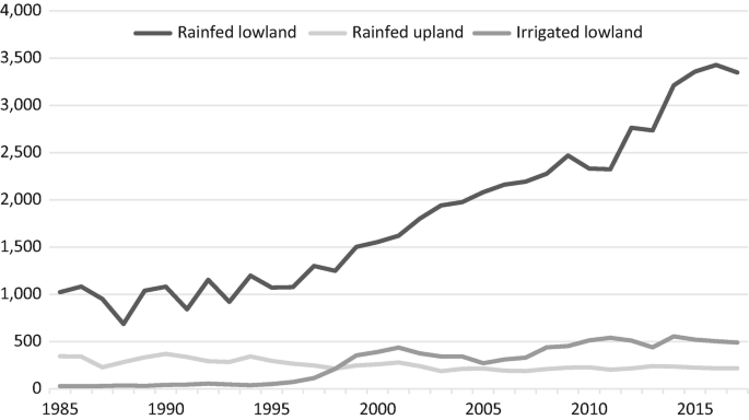 A graph of paddy production between 1985 and 2015. It plots 3 increasing curves that provide data for the rainfed lowland, rainfed upland, and irrigated lowland.