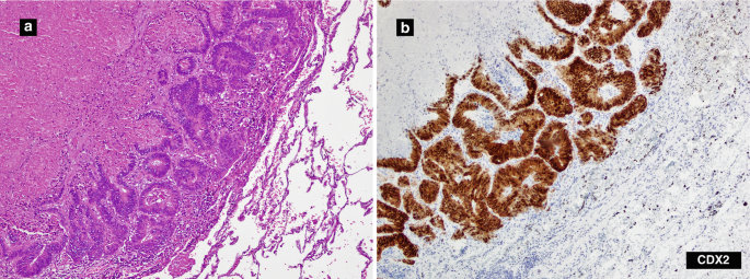 figure 24