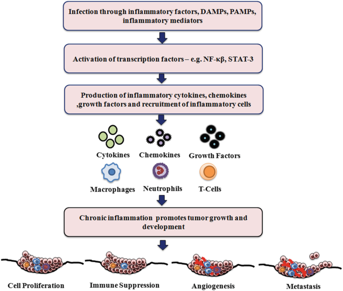 Oxidative Stress and Inflammation Can Fuel Cancer | SpringerLink