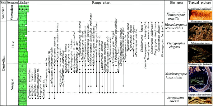 figure 34