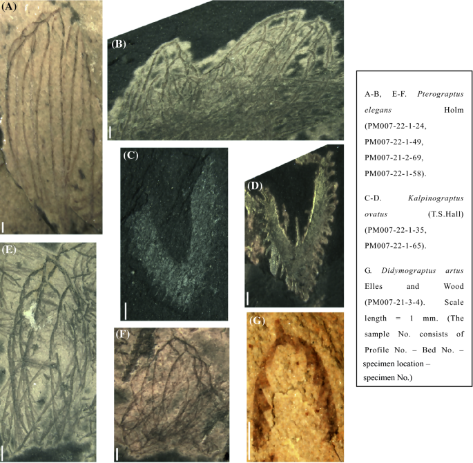 figure 44