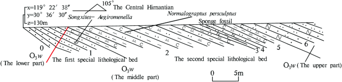 figure 75