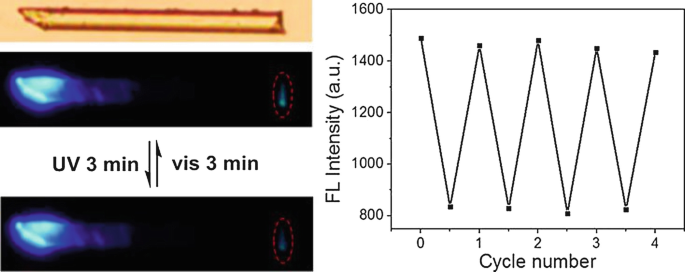 figure 24