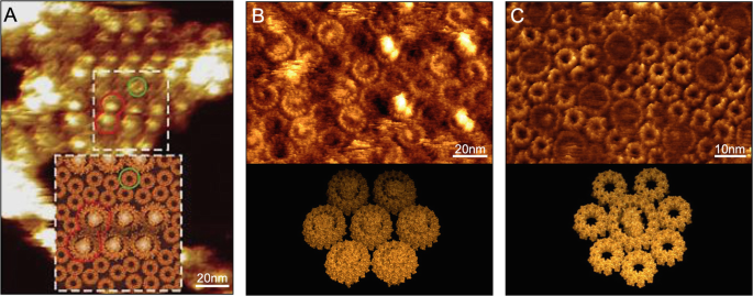 figure 11