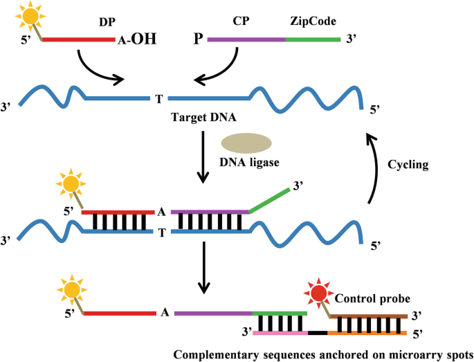 figure 11