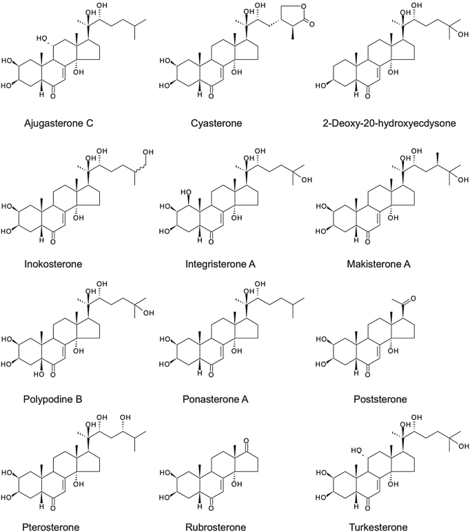 Semi-synthetic transformations of ajugasterone C (1), poststerone