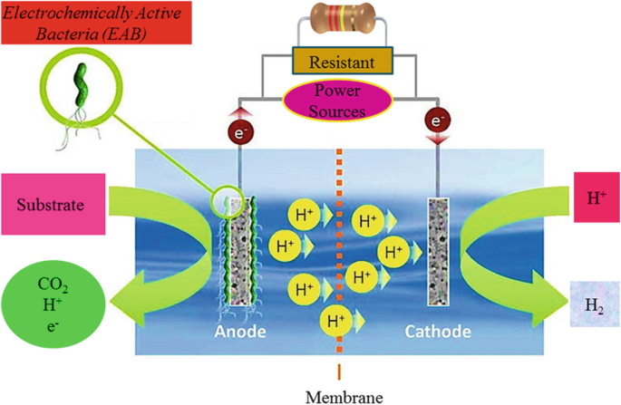 MEEP - Microbial/Enzymatic Electrochemistry Platform: Downloads : European  Fuel Cell Forum