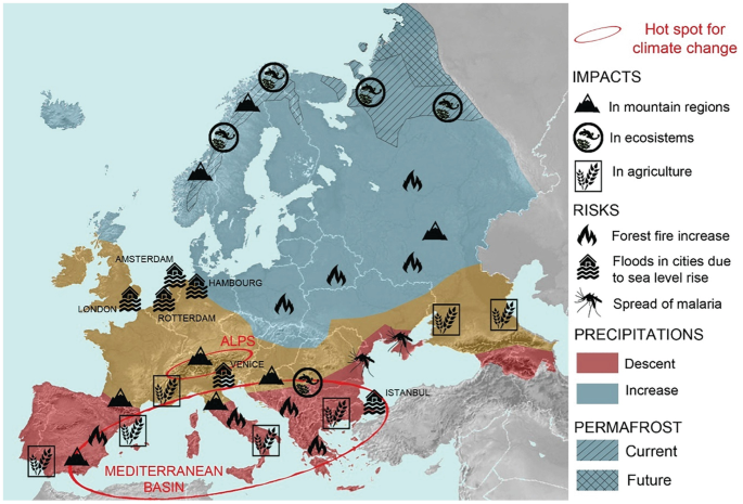 Efficient Groundcovers In Mediterranean Olive Groves Under Changing Climate Springerlink