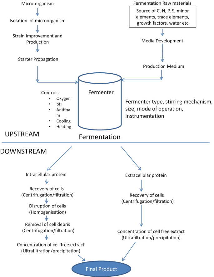 Downstream Processing; Applications and Recent Updates | SpringerLink