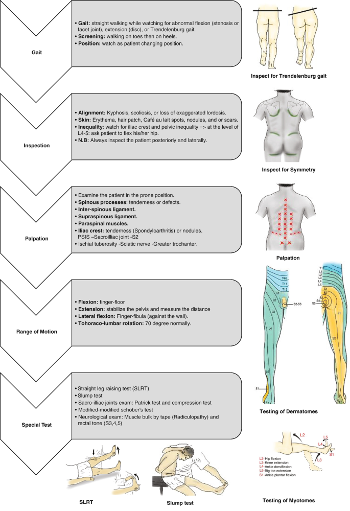 Symptoms & Diagnosis of Lower Back Pain