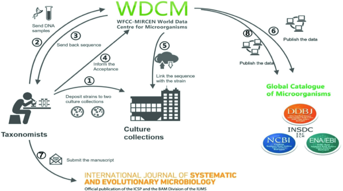 PDF) World data centre for microorganisms: An information infrastructure to  explore and utilize preserved microbial strains worldwide