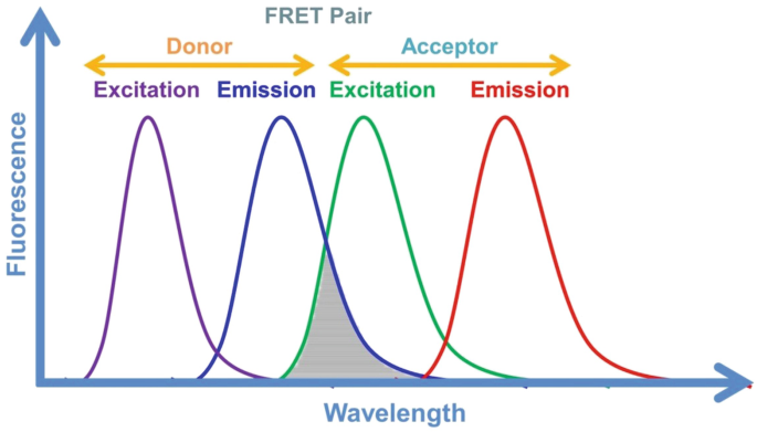 Cross‐Peaks in Simple Two‐Dimensional NMR Experiments from Chemical  Exchange of Transverse Magnetisation - Waudby - 2019 - Angewandte Chemie  International Edition - Wiley Online Library