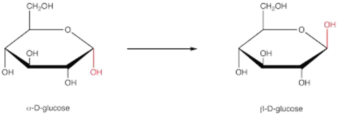 Carbohydrates | SpringerLink Carbohydrates | SpringerLink