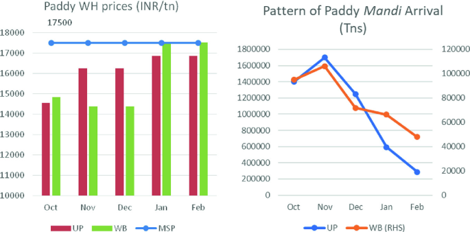 Two graphs. A double bar graph of paddy W H prices in U P and W B and a line graph indicates M S P in I N R per ton versus months. M S P is constant for all months at around 17500, while the bars fluctuate. A line graph of the pattern of paddy Mandi arrival in tons for U P and W B from October to February. Both lines initially increase and then decrease sharply.
