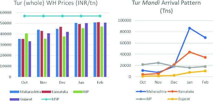 Two graphs. A grouped bar graph of tur W H prices in Maharashtra, Karnataka, M P, and Gujarat and a line graph indicates M S P in I N R per ton versus months. M S P is constant for all months at around 58000, while the bars for Maharashtra, Karnataka, and Gujarat increase gradually. A line graph of the tur Mandi arrival pattern in tons for Maharashtra, Karnataka, M P, and Gujarat from October to February. The curve for Maharashtra reaches a maximum of around 90000 in January.