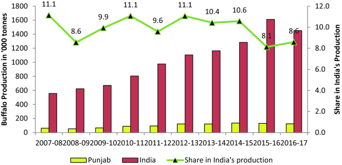 A graph of buffalo production, share in India's production versus year. The highest point is (2012-13, 11.1) for a share in Production. The lowest point is (2007-08, 10) for Punjab.
