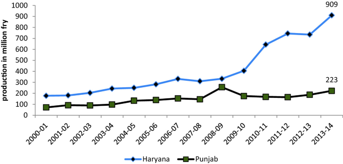 A graph of production in a million fries versus a year. It plots 2 increasing trends. The highest point is in (2013-14, 909) in Haryana. The lowest point is at (2000-01, 100) in Punjab.