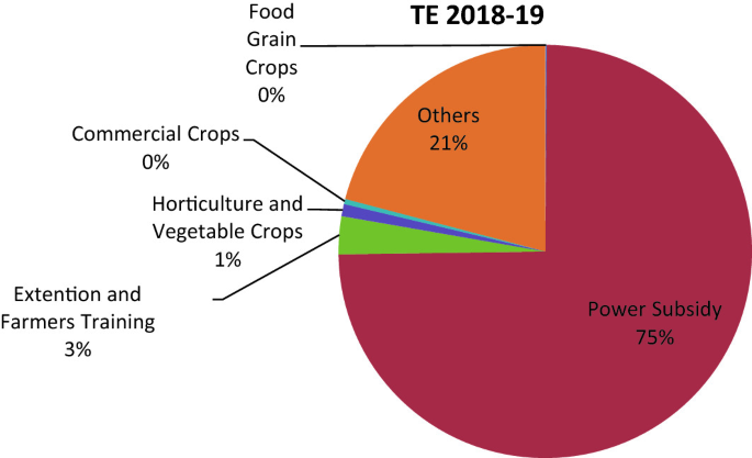 A pie chart of the T E 2018-19. Power subsidy has the highest percent of 75. Commercial crops have the lowest percent of 0.