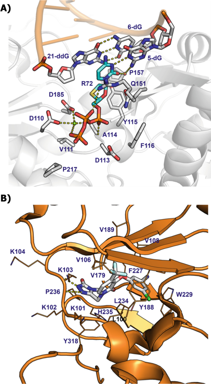 Structural Insights To Human Immunodeficiency Virus Hiv 1 Targets And Their Inhibition Springerlink