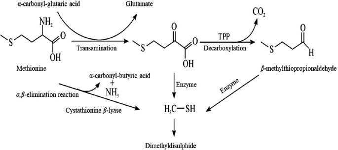 figure 19