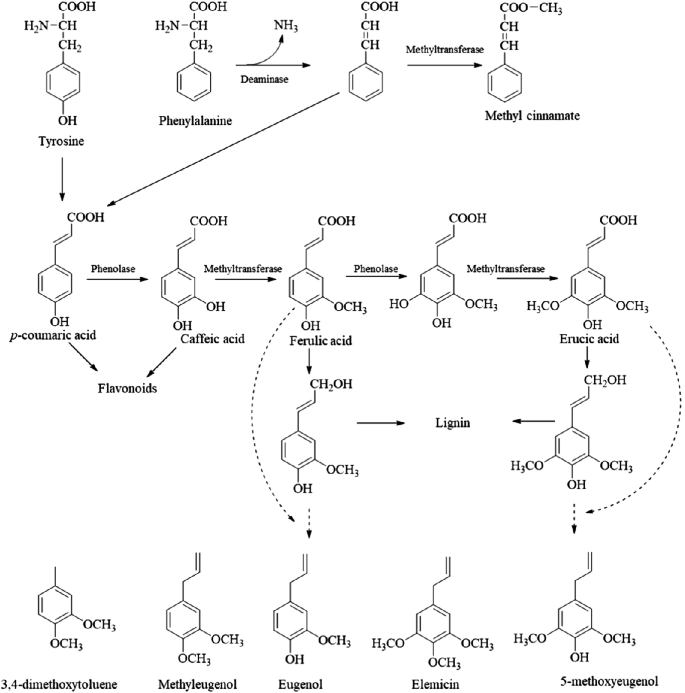 figure 24