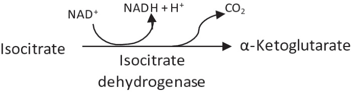 figure c