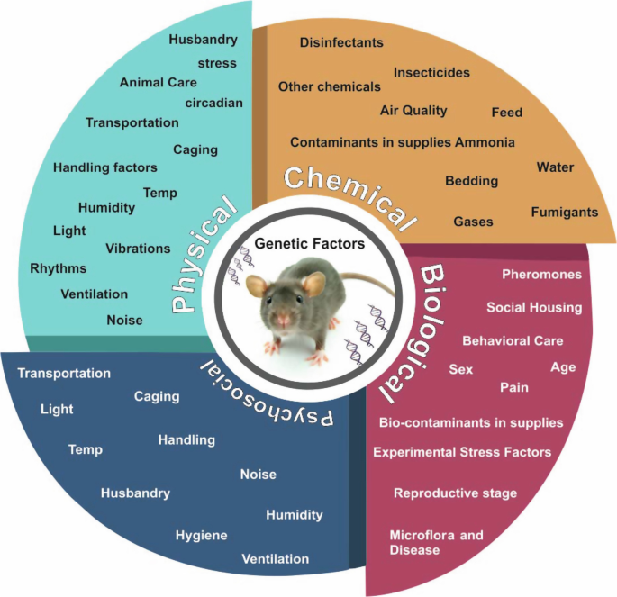 Planning and Designing of Laboratory Animal Facilities | SpringerLink