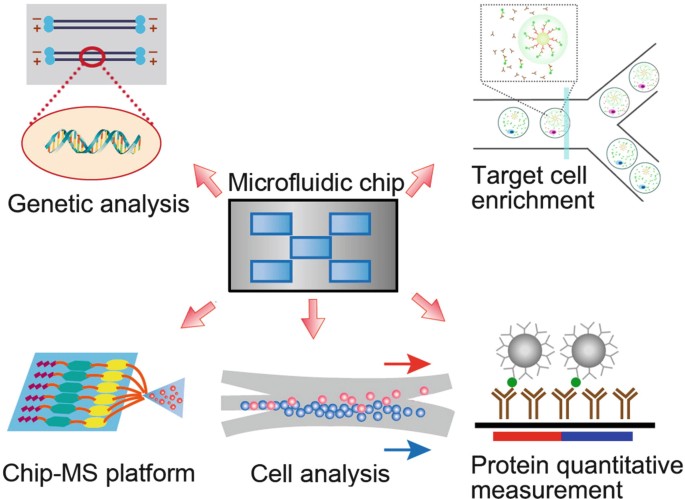 System Modularity Chip for Analysis of Rare Targets (SMART-Chip): Liquid  Biopsy Samples