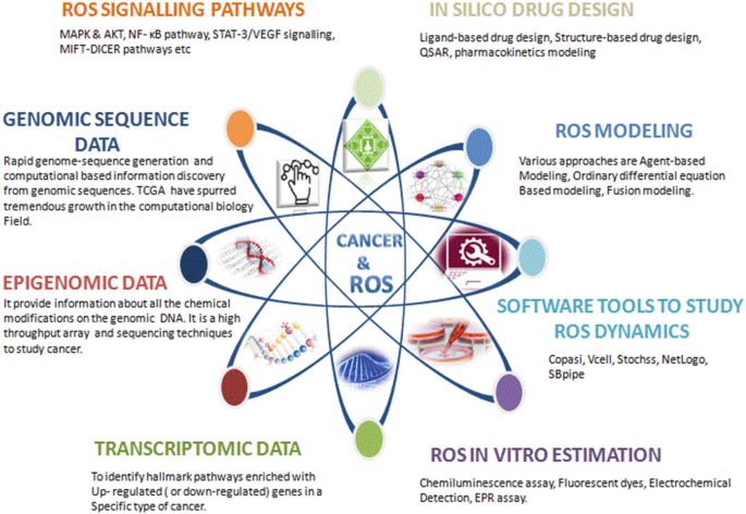 Emerging Scope of Computer-Aided Drug Design in Targeting ROS in 