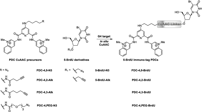 Reaction kinetics for the reaction of 1e/c with NMM (A) HPLC stack