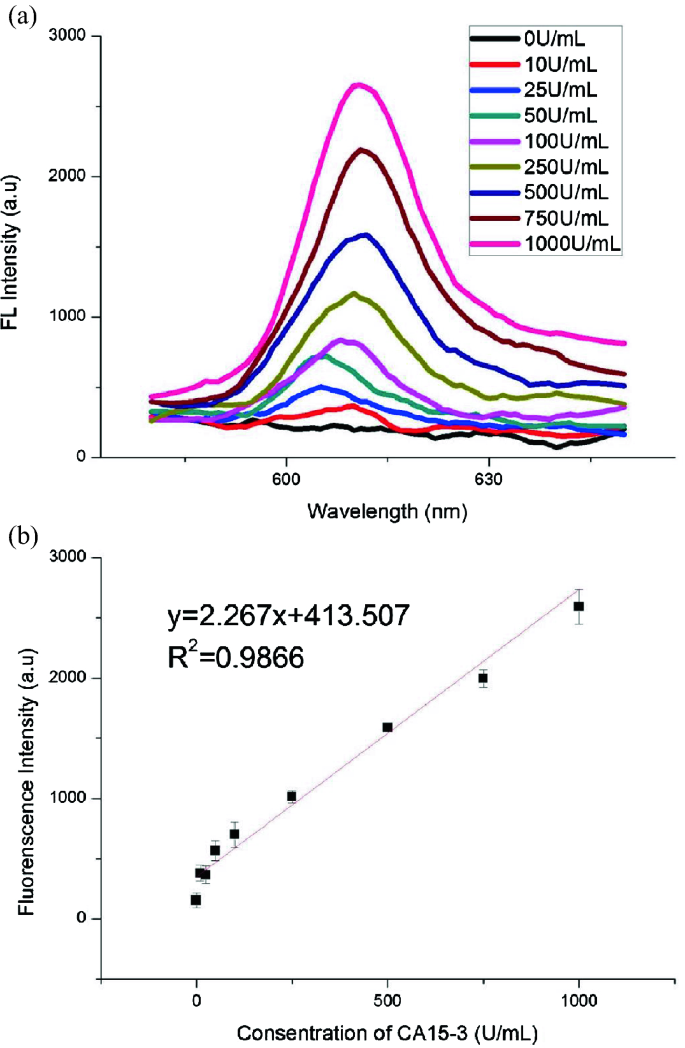 Fluorescence spectra of NMM-probe DNA after incubation with varying