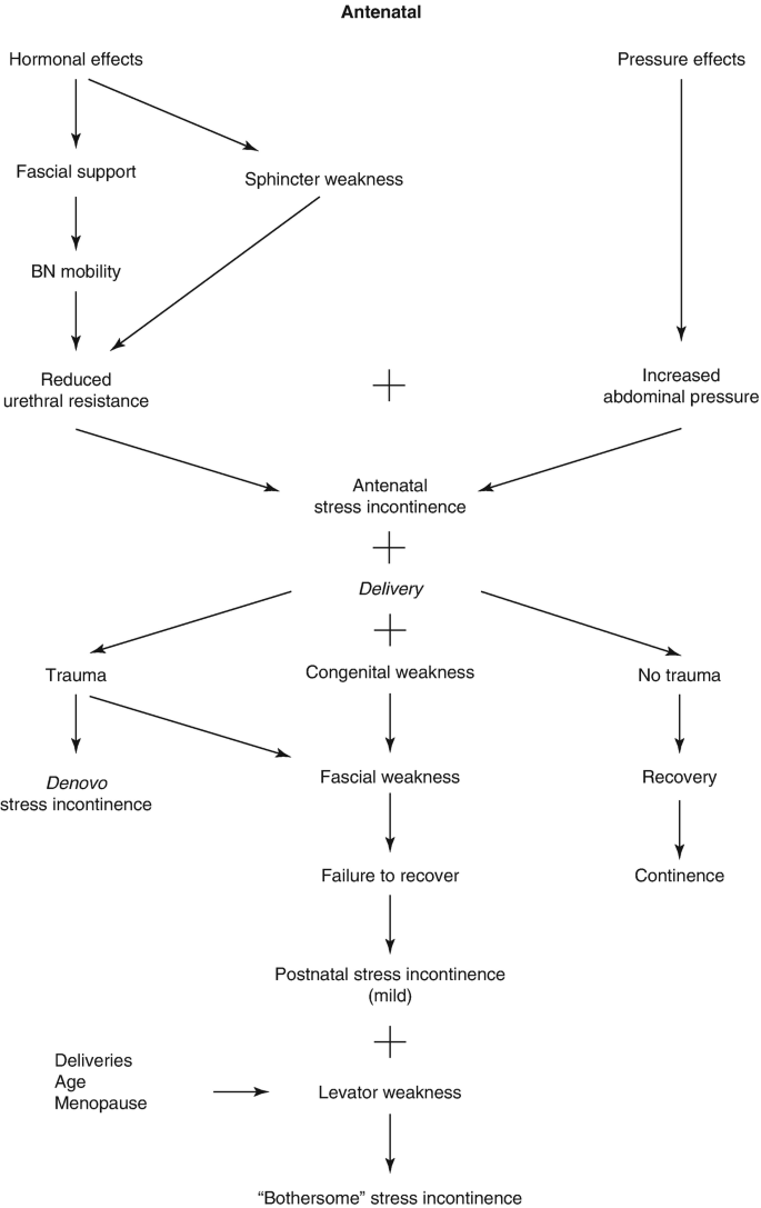 Treatment of urinary incontinence in women with chronic obstructive  pulmonary disease—a randomised controlled study, Trials
