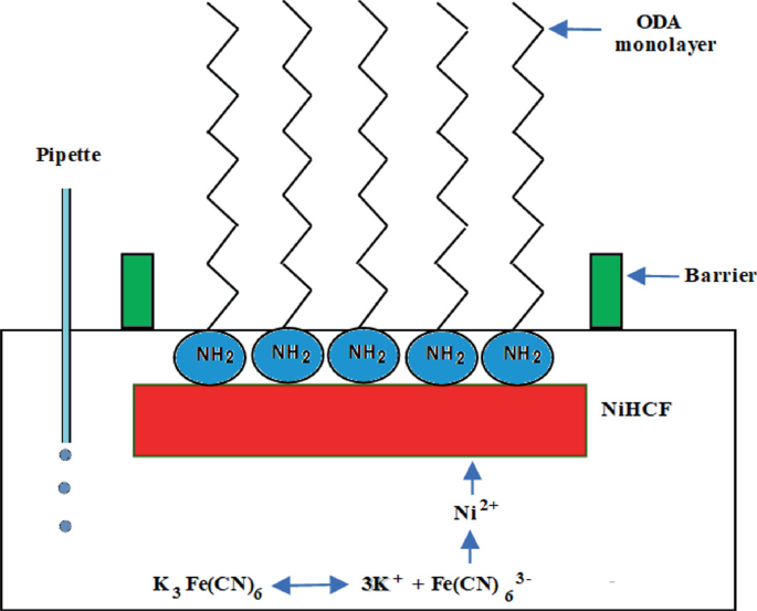 figure 15