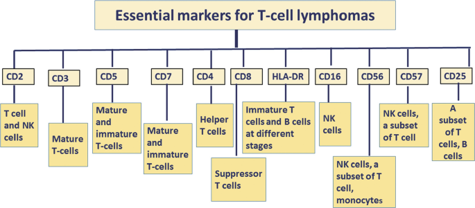 Cd3 Mature T Cells