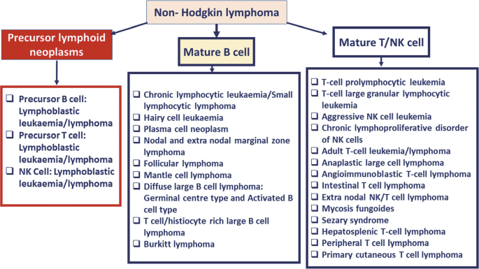 Classification of Lymphoma, Different Markers and Approach | SpringerLink